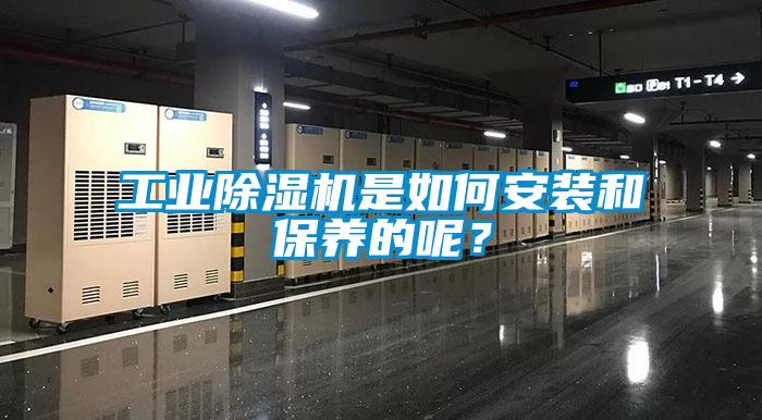 工業(yè)除濕機(jī)是如何安裝和保養(yǎng)的呢？