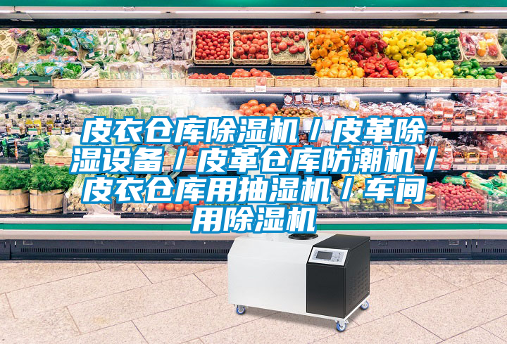 皮衣倉庫除濕機／皮革除濕設備／皮革倉庫防潮機／皮衣倉庫用抽濕機／車間用除濕機