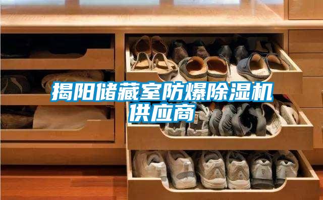 揭陽儲(chǔ)藏室防爆除濕機(jī)供應(yīng)商