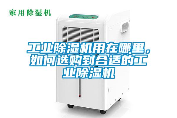 工業除濕機用在哪里，如何選購到合適的工業除濕機