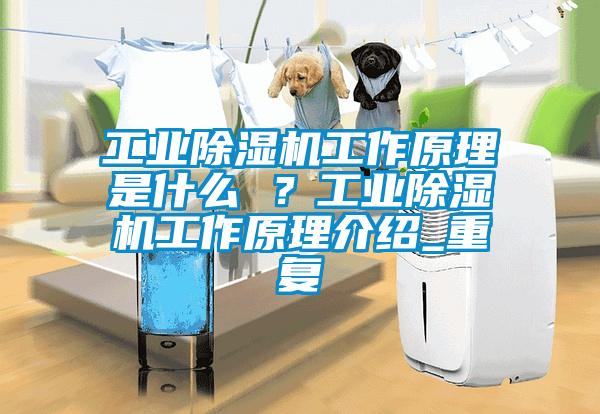 工業(yè)除濕機工作原理是什么 ？工業(yè)除濕機工作原理介紹_重復
