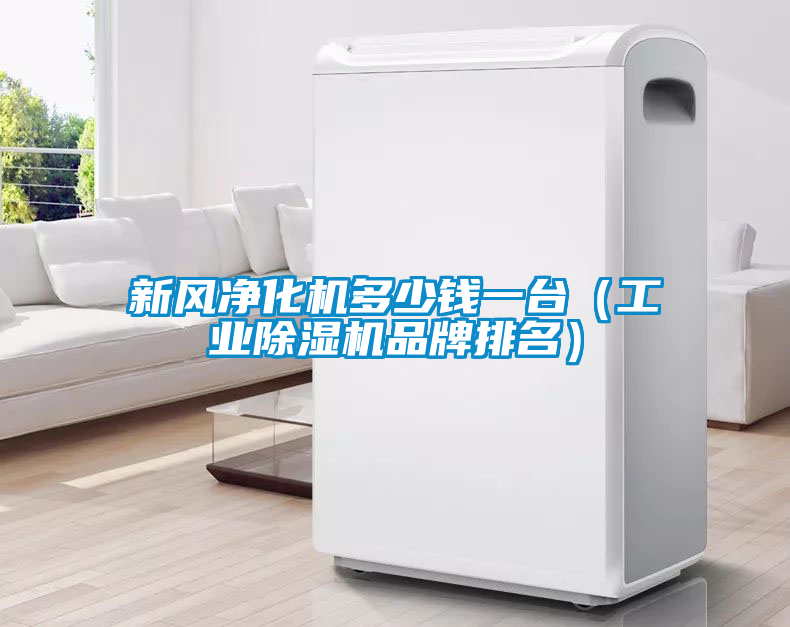 新風(fēng)凈化機(jī)多少錢一臺（工業(yè)除濕機(jī)品牌排名）
