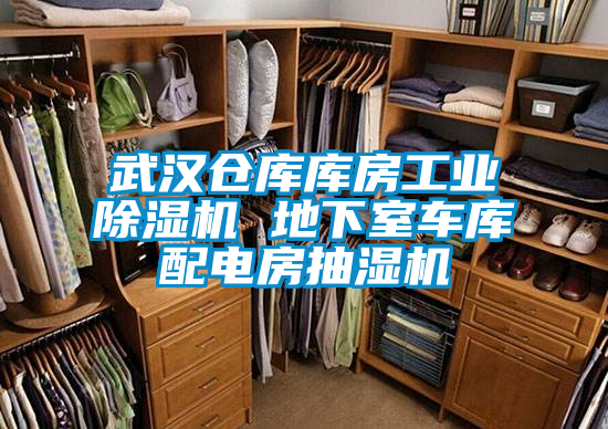 武漢倉(cāng)庫(kù)庫(kù)房工業(yè)除濕機(jī) 地下室車庫(kù)配電房抽濕機(jī)