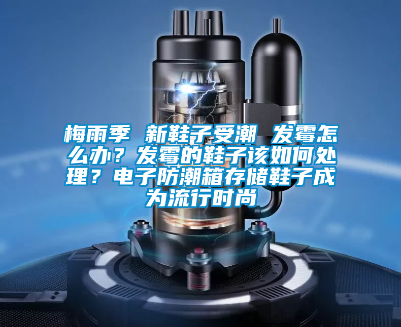 梅雨季 新鞋子受潮 發(fā)霉怎么辦？發(fā)霉的鞋子該如何處理？電子防潮箱存儲鞋子成為流行時尚