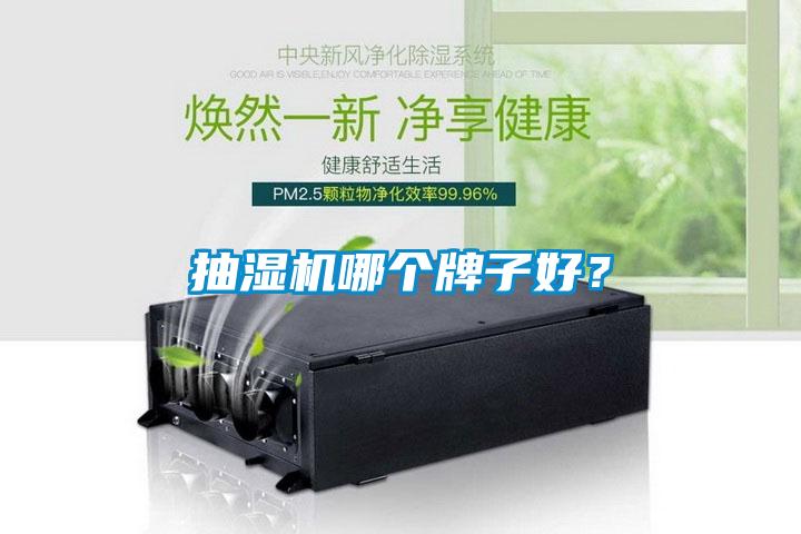 抽濕機哪個牌子好？