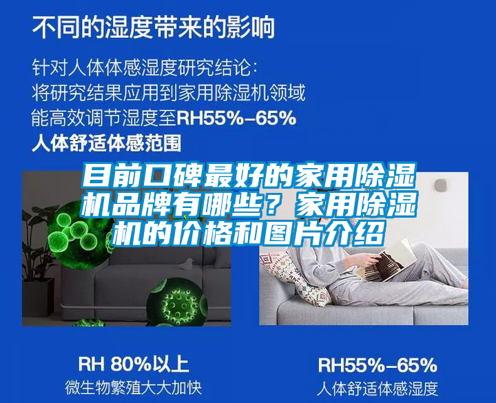 目前口碑最好的家用除濕機品牌有哪些？家用除濕機的價格和圖片介紹