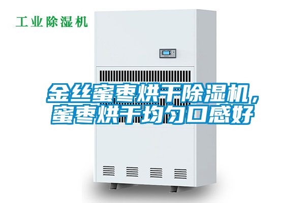 金絲蜜棗烘干除濕機(jī)，蜜棗烘干均勻口感好