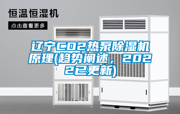 遼寧CO2熱泵除濕機原理(趨勢闡述，2022已更新)