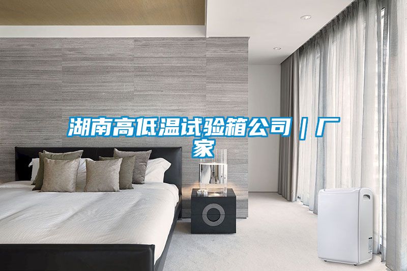 湖南高低溫試驗(yàn)箱公司｜廠(chǎng)家
