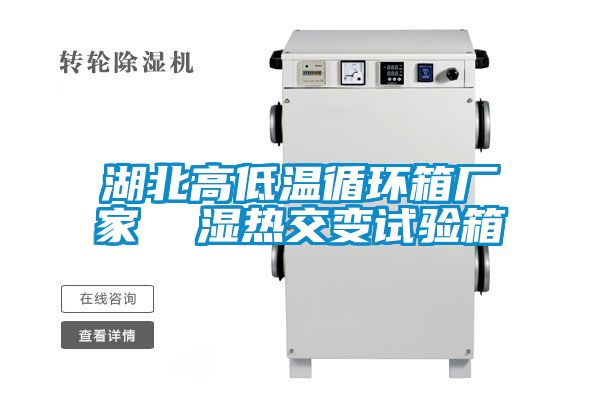 湖北高低溫循環箱廠家  濕熱交變試驗箱