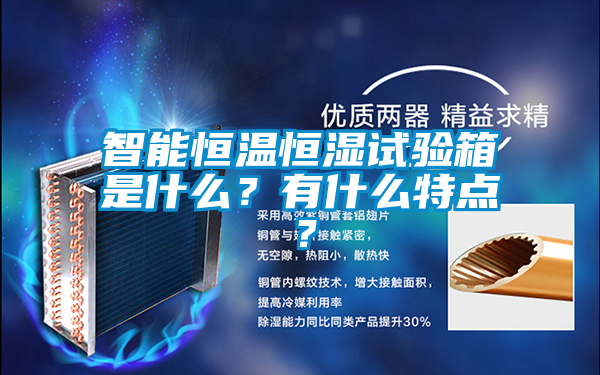 智能恒溫恒濕試驗箱是什么？有什么特點？
