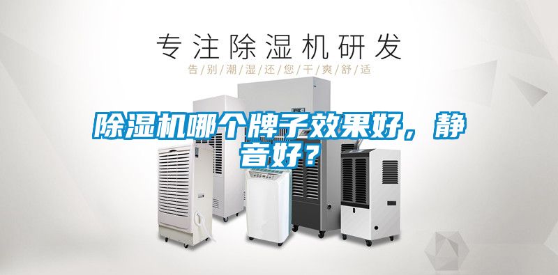 除濕機(jī)哪個牌子效果好，靜音好？