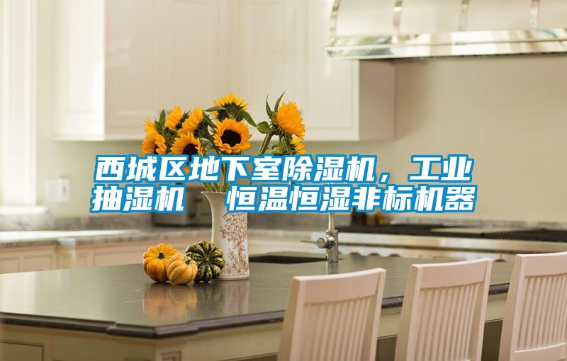 西城區(qū)地下室除濕機(jī)，工業(yè)抽濕機(jī)  恒溫恒濕非標(biāo)機(jī)器