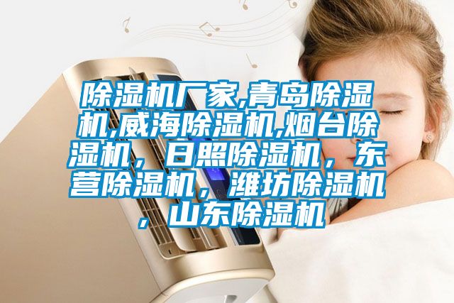 除濕機(jī)廠家,青島除濕機(jī),威海除濕機(jī),煙臺(tái)除濕機(jī)，日照除濕機(jī)，東營(yíng)除濕機(jī)，濰坊除濕機(jī)，山東除濕機(jī)