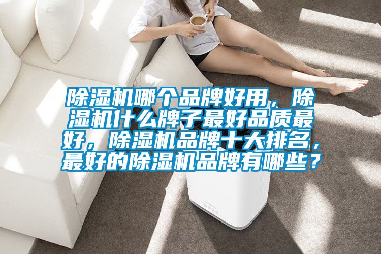 除濕機哪個品牌好用，除濕機什么牌子最好品質最好，除濕機品牌十大排名，最好的除濕機品牌有哪些？