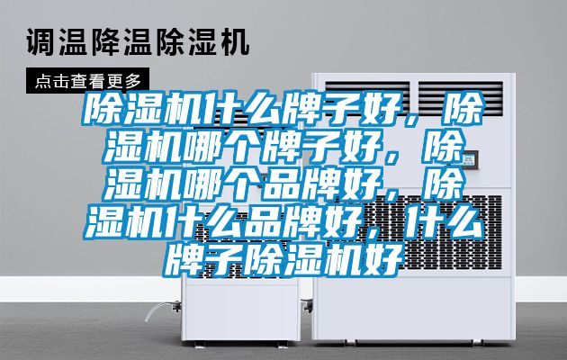 除濕機(jī)什么牌子好，除濕機(jī)哪個(gè)牌子好，除濕機(jī)哪個(gè)品牌好，除濕機(jī)什么品牌好，什么牌子除濕機(jī)好