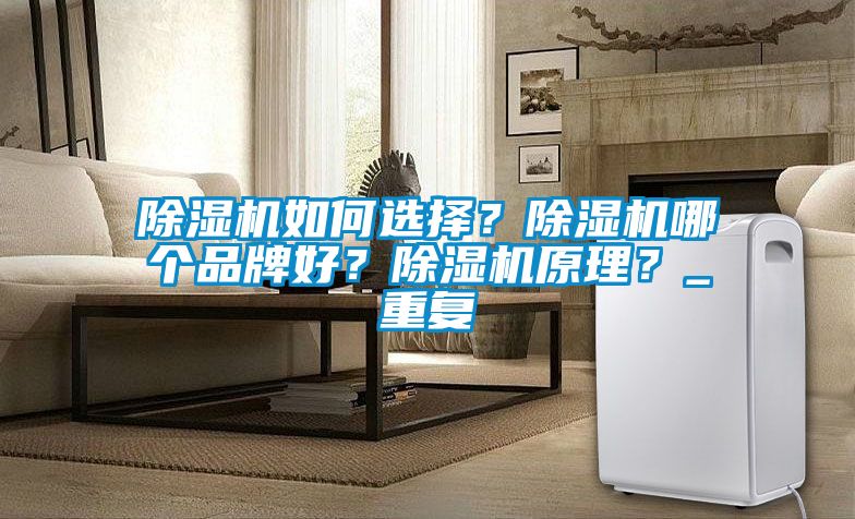 除濕機如何選擇？除濕機哪個品牌好？除濕機原理？_重復