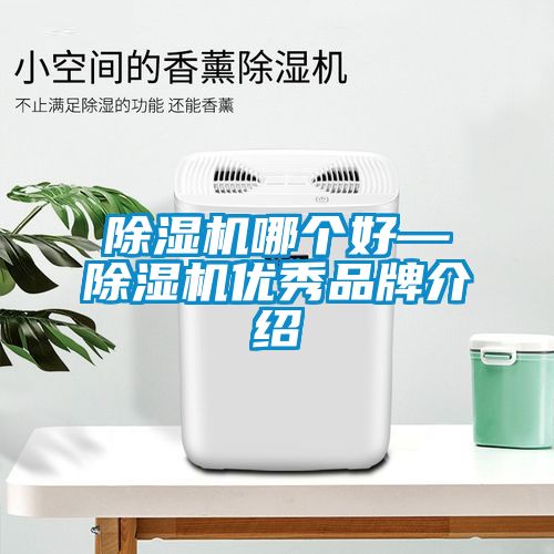 除濕機(jī)哪個好—除濕機(jī)優(yōu)秀品牌介紹