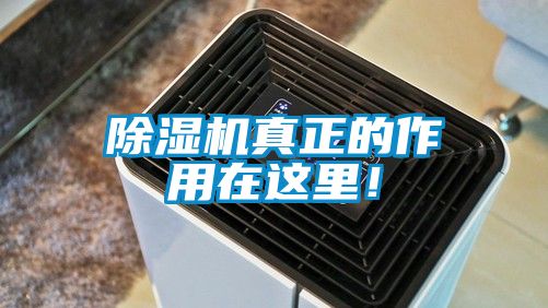 除濕機(jī)真正的作用在這里！