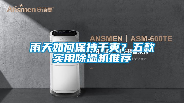 雨天如何保持干爽？五款實(shí)用除濕機(jī)推薦