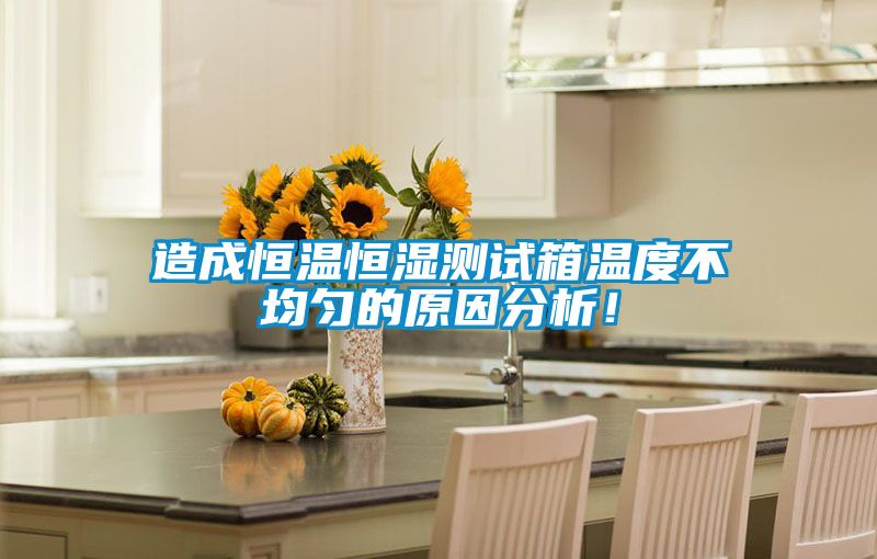 造成恒溫恒濕測試箱溫度不均勻的原因分析！