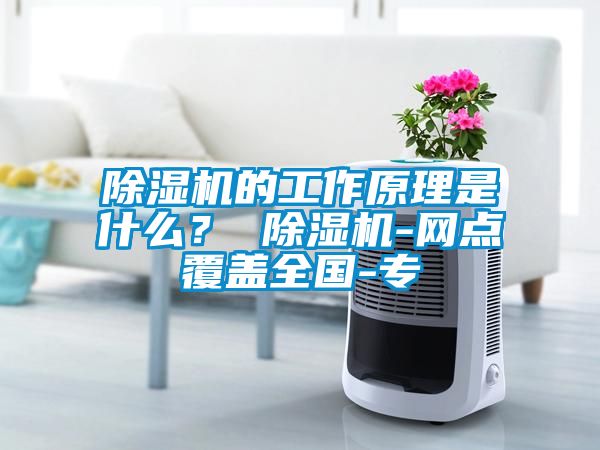 除濕機的工作原理是什么？ 除濕機-網點覆蓋全國-專