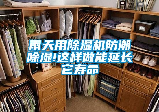 雨天用除濕機防潮除濕!這樣做能延長它壽命
