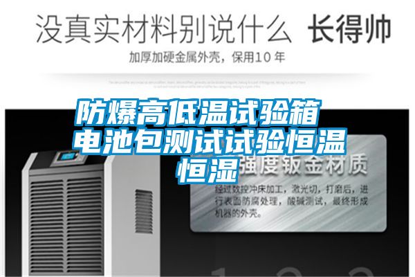 防爆高低溫試驗(yàn)箱 電池包測(cè)試試驗(yàn)恒溫恒濕