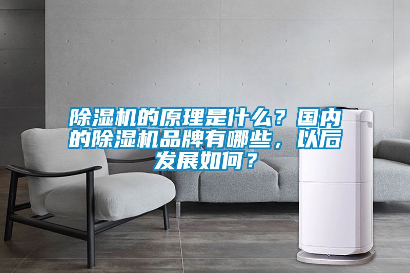 除濕機(jī)的原理是什么？國內(nèi)的除濕機(jī)品牌有哪些，以后發(fā)展如何？