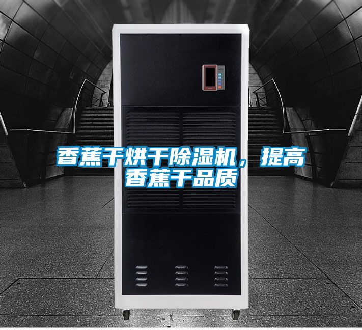 香蕉干烘干除濕機，提高香蕉干品質