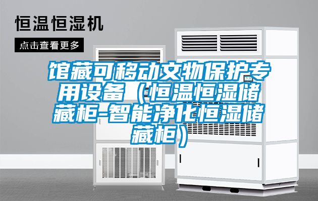 館藏可移動(dòng)文物保護(hù)專用設(shè)備（恒溫恒濕儲(chǔ)藏柜-智能凈化恒濕儲(chǔ)藏柜）
