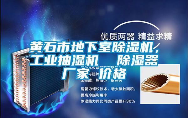 黃石市地下室除濕機(jī)，工業(yè)抽濕機(jī)  除濕器廠家 價(jià)格